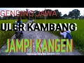 Download Lagu GENDING JAWA - ULER KAMBANG GLATHIK GLINDHING - GENDINGKLASIK - GENDING UYON UYON JAWA