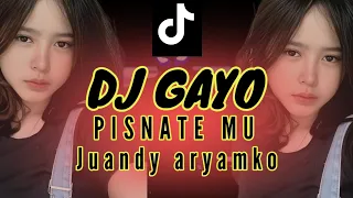 dj gayo pisnatemu bootleg remix velocity juandy aryamko dj viral tiktok 2025