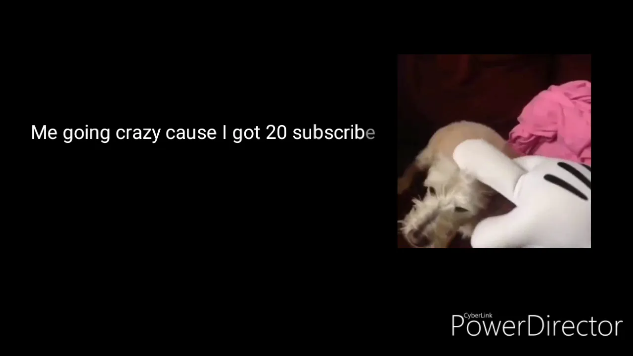20 subscribers yaaaay yaaaay