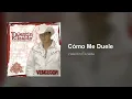 Valentín Elizalde - Cómo Me Duele (Audio)