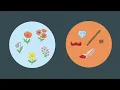 Le langage victorien des fleurs, expliqué