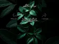 Download Lagu Ayat al-Kursi recited by Saad Al-Ghamdi#آية_الكرسي #ayatulkursi #shorts #shortvideo