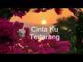 Download Lagu CINTA KU TERLARANG