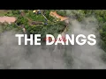 Download Lagu THE DANGS.   |   FROM NISARG'S EYE | Dang Jungle | Monsoon Madness | DJI MINI 4 PRO