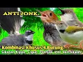 Download Lagu PALING JITU.‼️ SUARA PIKAT BURUNG SIKATAN KIPAS. CIGUN. PRENJAK ATAS DAN BAWAH..