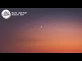 Madison Beer, Offset - Hurts Like Hell (Lyrics)