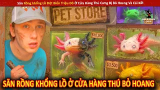 Săn Rồng khổng Lồ Đột Biến Triệu Đô Ở Cửa Hàng Thú Cưng Bị Bỏ Hoang Và Cái Kết | Review Giải Trí