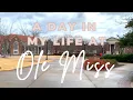 A Day In My Life at the University of Mississippi Classes Grocery Haul