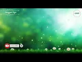 Download Lagu Sungguh Tega No Vokal + Lirik (Karaoke)