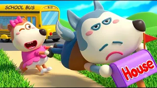 ¡Ve a la escuela por mí! 🥰 ¡El primer día de escuela de Lucy! | Dibujos Animados | Wolfoo en Español