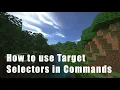How to use Target Selectors in Commands