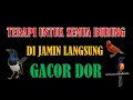 Download Lagu TERAPI UNTUK SEMUA BURUNG
