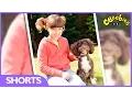 Download Lagu CBeebies -  Topsy meets DIY Derek's dog - Series 3