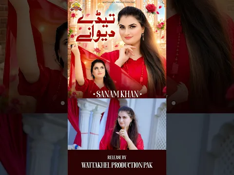 Tery Deewanay | Sanam Khan #saraikisong #shortsvideo
