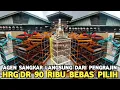 Download Lagu AGEN SANGKAR TERMURAH BEBAS PILIH, MOTIF MELIMPAH, KUALITAS MEWAH, DI PASAR BURUNG PRAMUKA