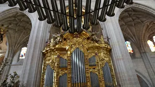 Aguilera De Herredia Registro Baixo De 1er Tom 1702 Spanish Baroque Organ At Segovia Cathedral 
