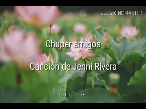 Download MP3 Chuper amigos • Jenni Rivera (Letra)