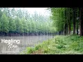 Download Lagu Val in slaap en ontspan met de prachtige regengeluiden. Bospad ASMR voor focus, studie