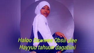 Haloo Dawwee Obsii Ulee Hayyuu Tahuun Dagatinii 
