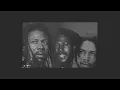 The Meditations - Rasta Shall Conquer (Remix)