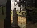 Pollen season in the South got us like