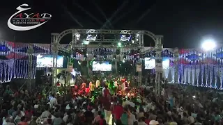 افراح عبد الباسط حموده 