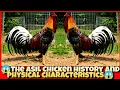 The ASIL Chicken history and physical characteristics