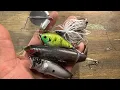 I Struggled Catching Topwater Bass Until I Learned THIS Trick