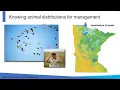 243 Exploring changes on duck harvest distributions in the Mississippi flyway between 1960 2019 2026