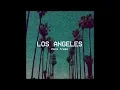 Los Angeles palm trees a e s t h e t i c vol 2
