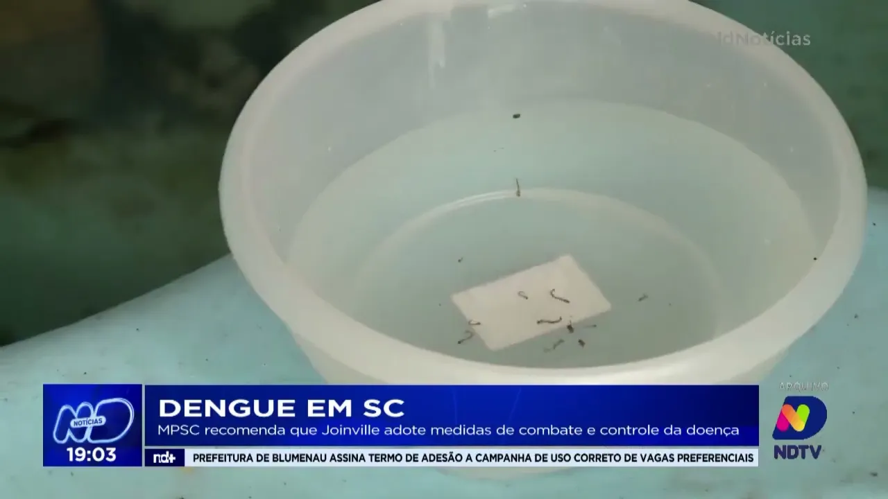 Dengue em SC: MPSC recomenda que Joinville adote medidas de combate e controle da doença