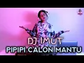 Lagu DJ PIPIPI CALON MANTU ( DJ IMUT )