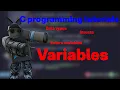 Using Variables in C Data Types Structs Extern Variables