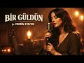 Emre Fel – Bir Güldün | Derin Cover 70’ler Anadolu Esintisi 🎙️✨
