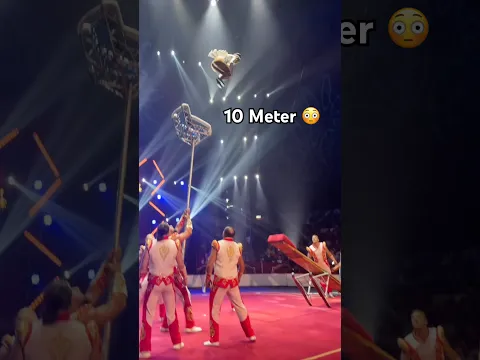 Platz 1 ist schon sehr riskant!? Krasse Zirkus Athleten! 🎪 Ich war bei Circus Louis Knie 🥳