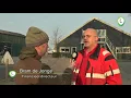 Rietsnijden in de Wieden