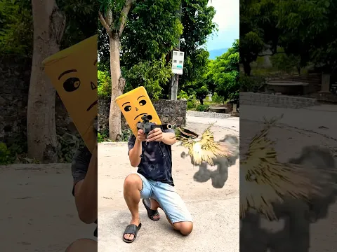 Món quà bất ngờ từ chủ nhà 😱