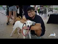PETA s Global Compassion Fund Fireside Chat