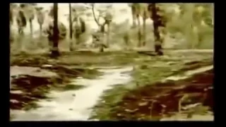 كليب    الدم ده دمي   للنجم محمد فؤاد        دندنها