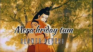 mera hriday tum mohit lalwani slowedreverb lofivibes melodysongs astheticvibes devotional