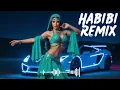Arabic Belly Dance Mix Best Oriental Dance Music Experience