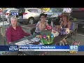 Outdoor Bingo In Citrus Heights