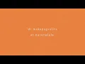 Dinamalayan - Ferdinand Aragon (Official Lyric Video)