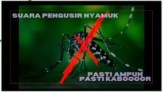 Download suara pengusir nyamuk  JANGKRIK JALITENG || PASTI AMPUH || nyamuknya PASTI KABOOR MP3