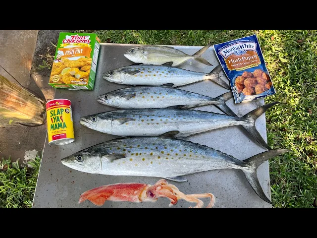 Download MP3 Squid and Spanish Mackerel Catch n' Cook on a Florida Pier!