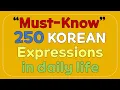 Download Lagu 250 Must-know Korean expressions in daily life