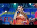 Download Lagu DINDING KACA -TASYA ROSMALA - BAMSENA // HALAL BI HALAL \
