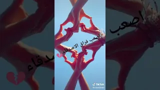 شحال صعيبة لحظة الوداع 