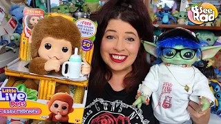 what does the little live pets my baby monkey mango do