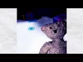 Download Lagu Bear (Alpha) - “Sam is waiting for you” (Soundtrack)